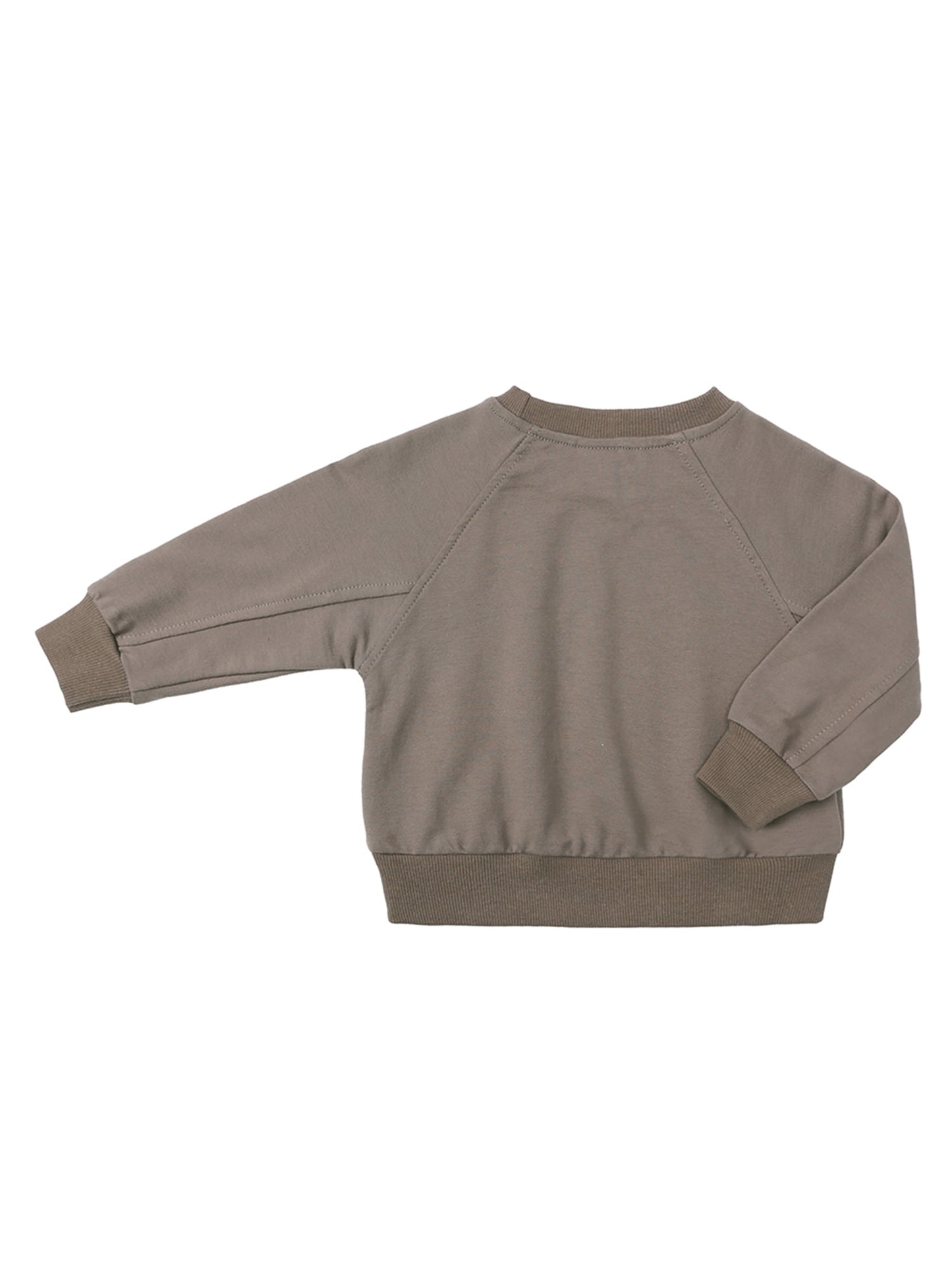 Little Champ's Sweats and Shorts - Brown